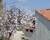 propriete toulon ouest - Photo annonce compromis