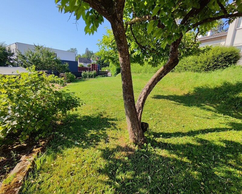 Charmante maison à Hochstatt offrant un potentiel de rénovation - jardin