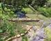 5 mn Lozanne Maison en pierres dorées, 3 ch bureau jardin  - 54f95d57-8f87-4232-a0f9-dc8ec9594263