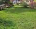 Immeuble 174m2 avec grand jardin . Exclusivité ! - 20240406 112040
