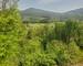 Un havre de paix dans un écrin de verdure  - Photo8