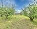 Immeuble de 8 pièces, 182 m² à Cast 29150 - 97c66-img-00e38 1718356179 6fb00b1