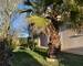 Maison centre Ambares et Lagrave 144 m2 390 000€ FAI - Img 5140  1 