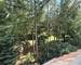 Superbe Appartement Duplex 3 pièces 85 m2 à Reipertswiller ( 67340 ) - 20250717 151121