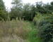 Investissement  Rentable- 2 maisons et un appartement  221 m²  - Dscn0638