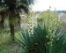 Investissement  Rentable- 2 maisons et un appartement  221 m²  - Dscn0633