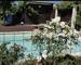 2 villas indépendantes composées de 3 appartements. - Piscine exy