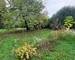 Terrain constructible de 430m2 à Mutzig  - 20241106 113406