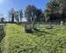 Maison au calme avec piscine et terrain - 24700 Montpon Ménesterol - Img 5428