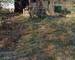 Maison de village - 476497504 2080518605717680 4175205900912261254 n