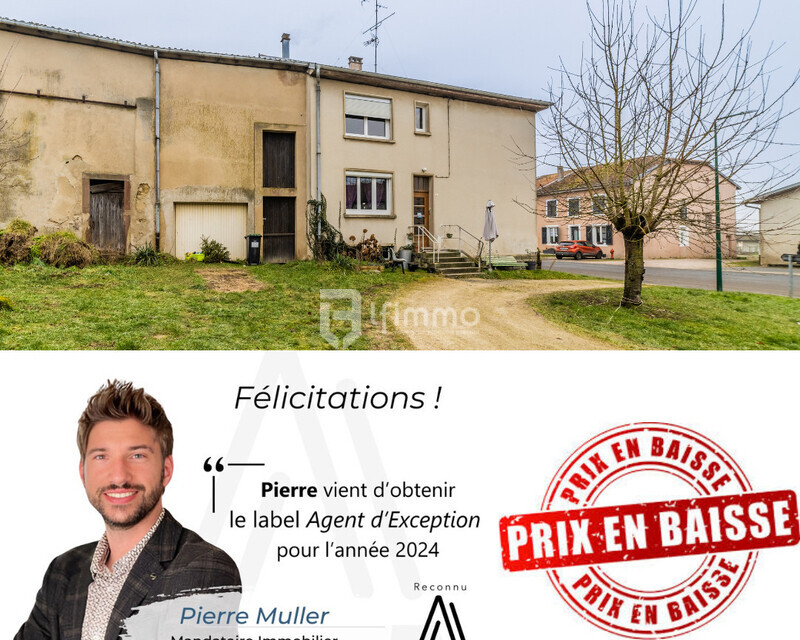 Investissement locatif, à 5 mn de Dieuze. - En moins de 20 jours   - 2025-04-14t193853.281