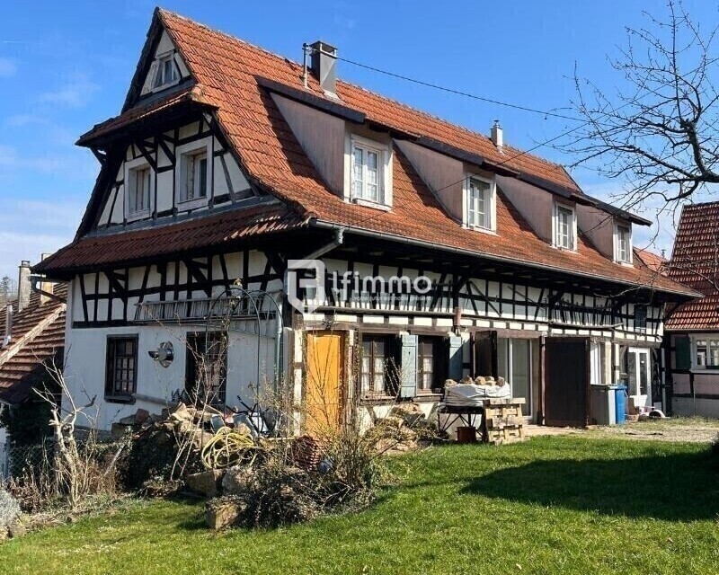  Maison atypique de 1828 à Preuschdorf 67250 - 8fdb4ca0-ba5f-4b9d-998d-d59ee125cf47-m