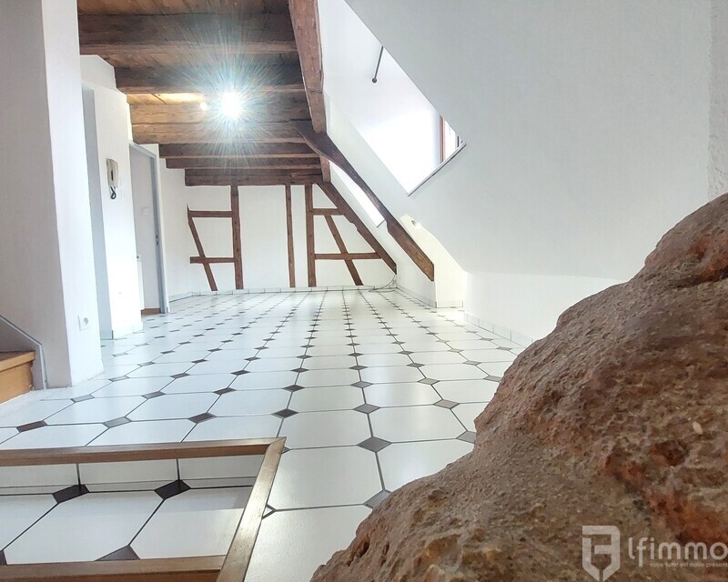 Duplex 4 pièces  - 20250212 101830