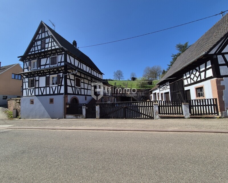 Corps de ferme à Langensoultzbach. - 20250405 124754