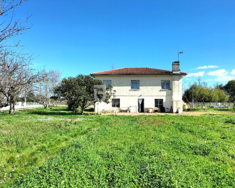  Maison familiale avec grand jardin - Img20250310114320