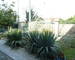 Maison de 147 m² sur terrain de 400 m² - P1130553