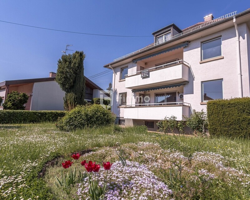 Superficie foncière 808 m² Maison multi projets 221 m² - Photo facade et jardin depuis rue pasteur 2