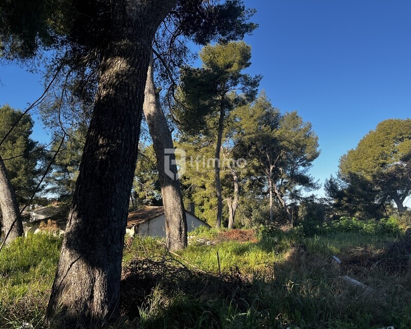 Campagne en Ville : Terrain 2 720m2 et maison à rénover - Img 3536