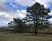 Terrain de loisirs  - 1739901045119