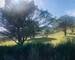 Terrain de loisirs  - 1739901012240