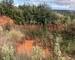 Terrain de loisirs  - 1739901045099