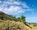 Terrain de loisirs  - 1739901012250