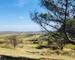 Terrain de loisirs  - Nature 1