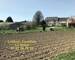 Propriété Agricole : 23 ha chevaux et bovins - Img 5914