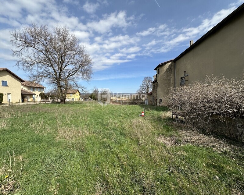 Terrain à bâtir 290 m² plat - Img 2980