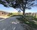 Maison plain-pied 119 m2, jardin 1280m2 Lézignan Corbières - Vue derriere pl dr