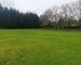 Lf immo  Durmenach.  Terrain à Dietwiller 10.5 ares. - 20250418 104825
