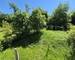 Belle maison de 139 m2 habitables à Langensoultzbach sous offre.   - 20250510 124627