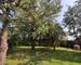 Pavillon individuel semi plain pied sur sous sol complet - Img 20250806 161832 1 