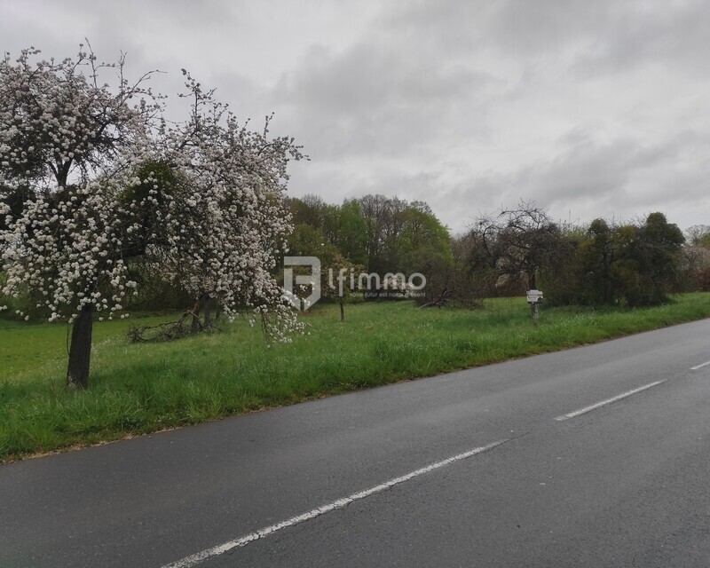 Très grand terrain à construire  - Img 20250416 175832