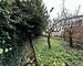 Montreuil- Grands pêchers Renan- Maison 55m2 + Sous sol-Terrain 219m2 - Jardin - copie