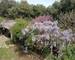 Exclusivité - Maison avec cadre exceptionnel - 13009 Marseille - Img20250405130103