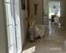 Bastide éco-responsable 140 m² 3 ch + bureau terrain 1300 m²  - Img 9120