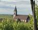 Terrain calme - Img 5874  002 