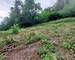 Terrain de construction de 692m² à Orschwiller - 20250605 135418