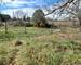 Terrain Constructible Viabilise A Vendras - 5e93ef3f-276a-4e54-80ef-a631e1ac1a32