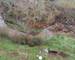 Spacieuse Maison de Village, Sud de la France - 990f2a57-8cdc-468f-8f3a-8fbb30d40c8a