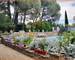 Villa de 176 m² avec piscine et appartement indépendant à Laurens - 10609792-0287-403d-add6-cab7ea1a6507