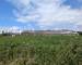 Ancienne Exploitation Porcine ET Terrain Agricole - b5575cff-f38c-4bd2-ad1d-075c2898ea10