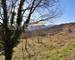Terrain Constructible - VUE Degagee - 1330M2 - 787bf0ea-31d1-4d0d-85d0-c2b4db41ae56