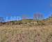 Terrain Constructible - VUE Degagee - 1330M2 - 711b3db3-61d1-4e47-9bbc-6fc85060e4c8