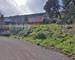 Terrain - Constructible - ViabilisÉ - Campagne - 2ed057ed-5542-498a-8a32-73e52c66819c