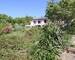 Ferme rénovée 310 m2 + dépendances - Picture-85190927-9