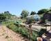 Ferme rénovée 310 m2 + dépendances - Picture-85190927-15