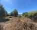 Maison à restaurer- jardin - 20 Min Vendôme  - Jardin 