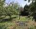 Maison a rénover 160 m2 avec 1ha - Img 6705